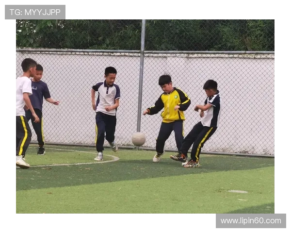 追逐梦想的少年足球梦从校园到绿茵场的奋斗历程