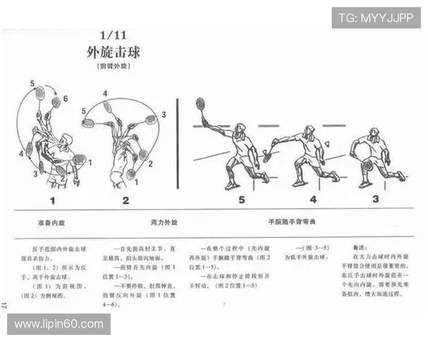 成都羽毛球队速度对比深度解析与战术探讨