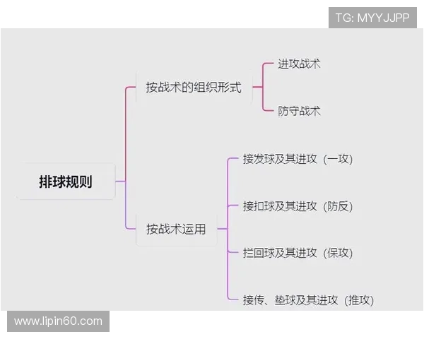 杭州排球队的战术演变与球员转换深度解析
